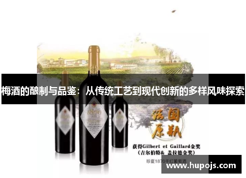 梅酒的酿制与品鉴：从传统工艺到现代创新的多样风味探索